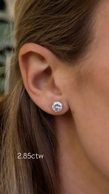 Classic Diamond Studs