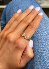 Open Cluster Ring