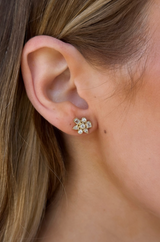 Multi-Stone Diamond Earrings