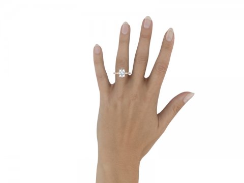 2.4ct Oval Solitaire with Pave Shank